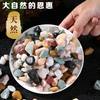  盛京植材 天然 彩色石子