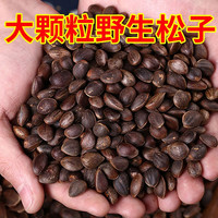  梦信 大颗粒 生松子