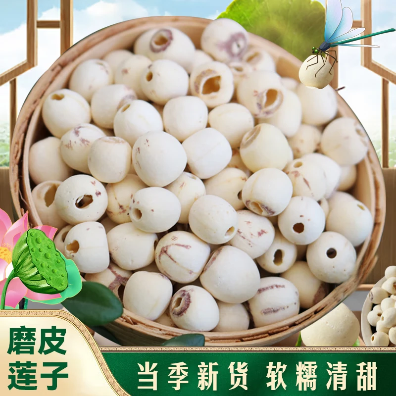  WANGXIAOER/王小珥 无杂质 白莲子