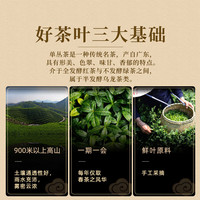  海凤凰 炭焙 单丛茶