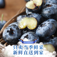 淘宝心选 云南当季蓝莓 特大果(20-24mm) 125g×12盒(叠加金币92元)