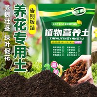 临雅 耐用 加仑盆 托盘