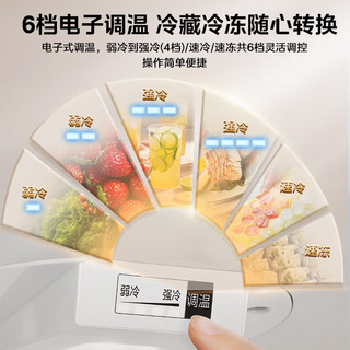 Midea 美的 MR-231T 直冷三门冰箱 220L 钛钢灰-星烁