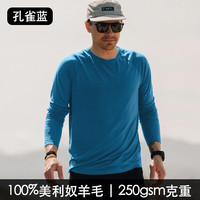 灰壳 保暖透气速干防晒 男士长袖T恤 M 孔雀蓝250gsm