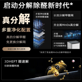 STEVOOR 分解甲醛 空气净化器