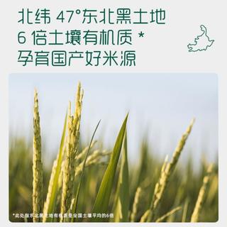  YeeHoO/英氏 高铁 婴幼儿米粉