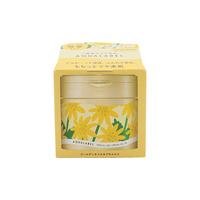  SHISEIDO/资生堂 五合一 面霜