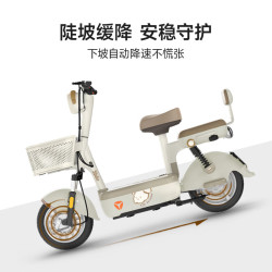 雅迪 新国标 电动自行车