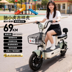 驰小虎 电动自行车 新国标长续航大踏板 浅绿