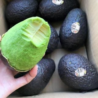  鲜燃  牛油果