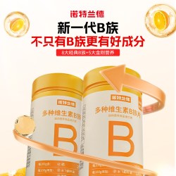 诺特兰德 维生素B族复合片