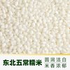  缸鸭狗 宁波糯米 黑芝麻汤圆