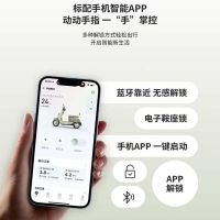百亿补贴：爱玛 长续航 电动摩托车