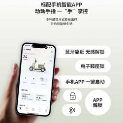 爱玛 长续航 电动摩托车