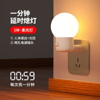 欣朵 智能人体感应灯