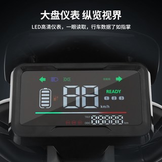  TAILG/台铃 高速长跑 电动摩托车