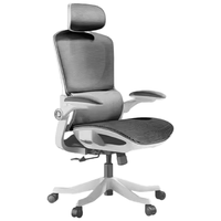 黑白调 人工力学 人体工学椅