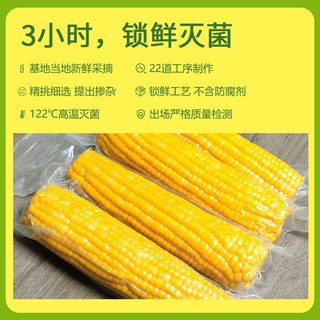  辰旭稼禾 真空锁鲜 黄糯玉米