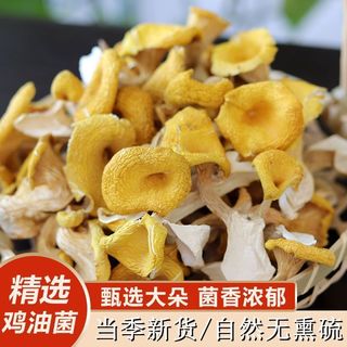 八荒 肉厚 鸡油菌干货