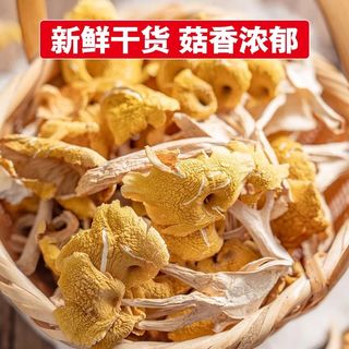  八荒 肉厚 鸡油菌干货