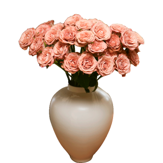 京东鲜花 源头直发 玫瑰鲜切花 10枝