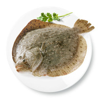  Mr.Seafood/京鲜生 鲜活 多宝鱼