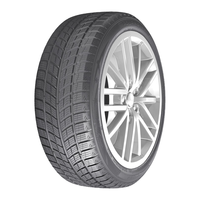  DOUBLESTAR/双星轮胎 适配多款车型 冬季胎