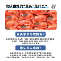  北海湾 新鲜头籽 北极甜虾