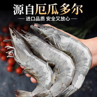  北海湾 鲜活盐冻 厄瓜多尔白虾