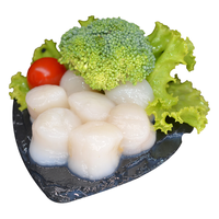 三座海 新鲜 扇贝柱