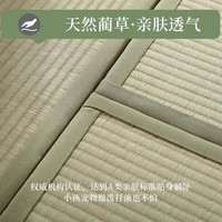能见度 榻榻米垫子 电热椰棕床垫 草席地垫