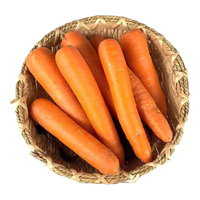 京地达 沙拉轻食蔬菜套装