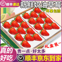 粤迎 大凉山奶油草莓 3斤精选装 单果12g+
