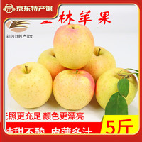 鲜姿 新鲜 王林苹果 净重2.8斤中果