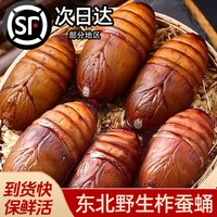 缤鲜 东北鲜活柞蚕蛹大个蚕蛹新鲜活蝉蛹黄蚕蛹大茧蛹高蛋白香蝉蛹500g