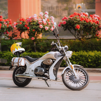 移动端、京东百亿补贴：宗申 Yomi 自动档巡航燃油摩托车