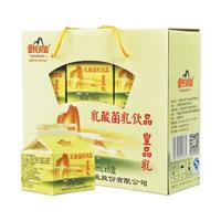 皇氏乳业 低温酸乳 乳酸菌乳饮品