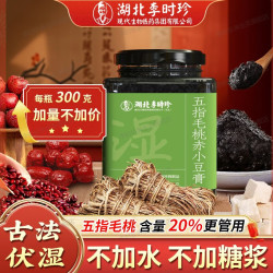 李时珍 五指毛桃伏湿膏 300g*2瓶 （赠勺子）