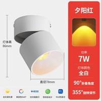 铜之光 落日灯夕阳红明装射灯 7W 全白