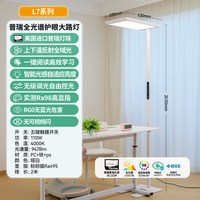 雷士 未来光大路灯落地灯学习护眼灯专用书桌阅读灯防蓝光学习台灯