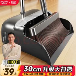 佳帮手 大扫把簸箕套装 30cm