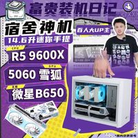  AMD 高性能 组装电脑 AMD R5 9600X RTX5060迷你手提主机 万丽显卡
