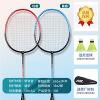 88VIP：红双喜 羽毛球拍对拍套装