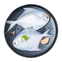  简鲜 新鲜冷冻 银鲳鱼