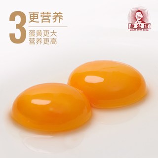  乡公馆 新鲜 土鸡蛋