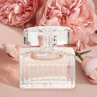  Chloé/蔻依 花香调 女士浓香水 盒子