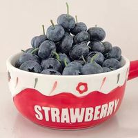 OLOEY 特大果 花香蓝莓 4盒 单果15-18mm