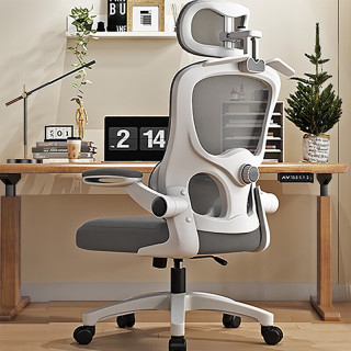 艺菲 人体工学办公椅 国标四级防爆气杆+4D头枕 双靠背+S型椅背+加厚坐垫（灰白）