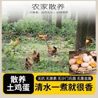  果邮 农家散养 土鸡蛋