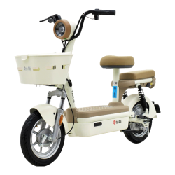 台铃 新国标可上牌 电动自行车 铅酸电池 新大果粒